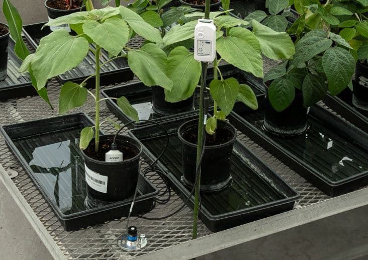 LI-COR Expands HOBO® Environmental Monitoring Portfolio with New Soil Moisture and Light Data Loggers